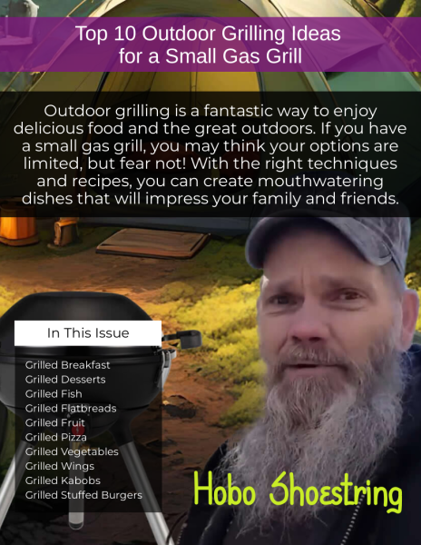 detail_255_Top_10_Outdoor_Grilling_Ideas_for_a_Small_Gas_Grills.png