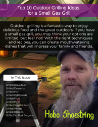 Digital Download - Top 10 Outdoor Grilling Ideas for a Small Gas Grill <br><br><center>Watch the Video Below</center>
